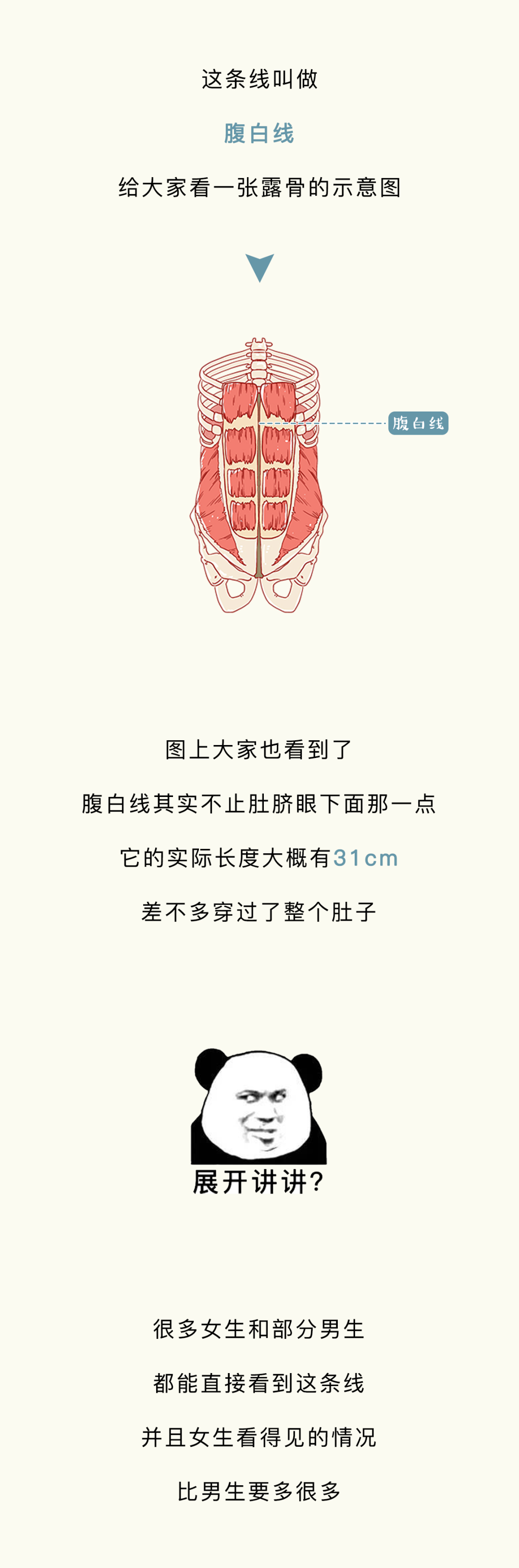 为什么很多女生肚子上都有一条褐色的线