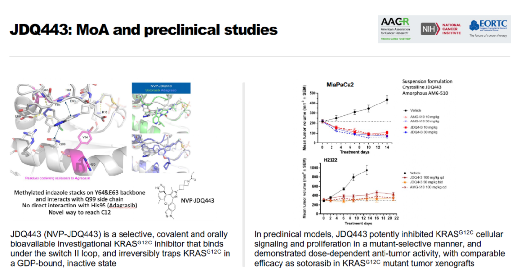 AACR 靶向KRAS信号通路，诺华、安进、Mirati、益方生物公布最新结果肿瘤_新浪新闻