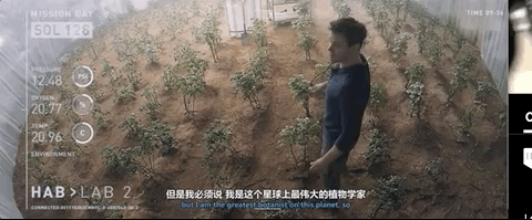 疫境求生：居家囤货指南