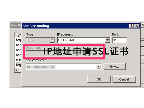 Ssl Ip 只有IP地址可以申请SSL证书吗?|IP地址|证书|端口_新浪新闻