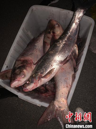 长江安庆警方查获多起非法盗采江砂非法捕捞江鱼案