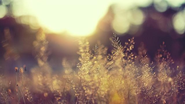 其实，命中注定的那个人，往往并不需要你刻意去讨好休闲区蓝鸢梦想 - Www.slyday.coM