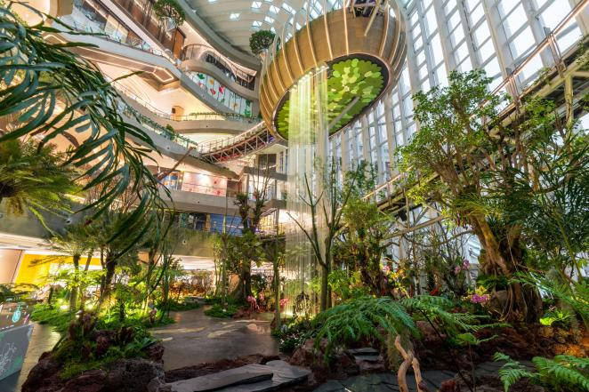 重庆光环1周年沐光森林景观升级展出400平方米户外鲁冰花海