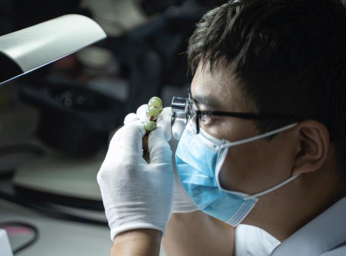 天富线路测速_天富注册网址_天富开户_【孔夫子旧书网】网上买书：图书_书籍_古籍_二手书，网上卖书：网上书店_古旧书拍卖，国内专业的古旧书交易平台