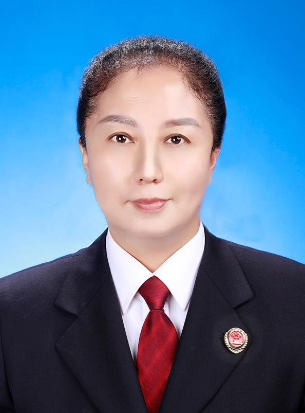 黑龙江省齐齐哈尔市富拉尔基区检察院检察长 林宏霞