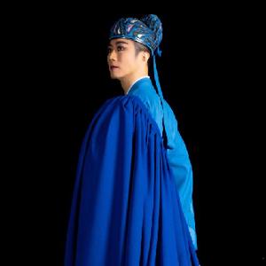 德艺双馨风采录丨魏葆华肩上芭蕾杂技高峰