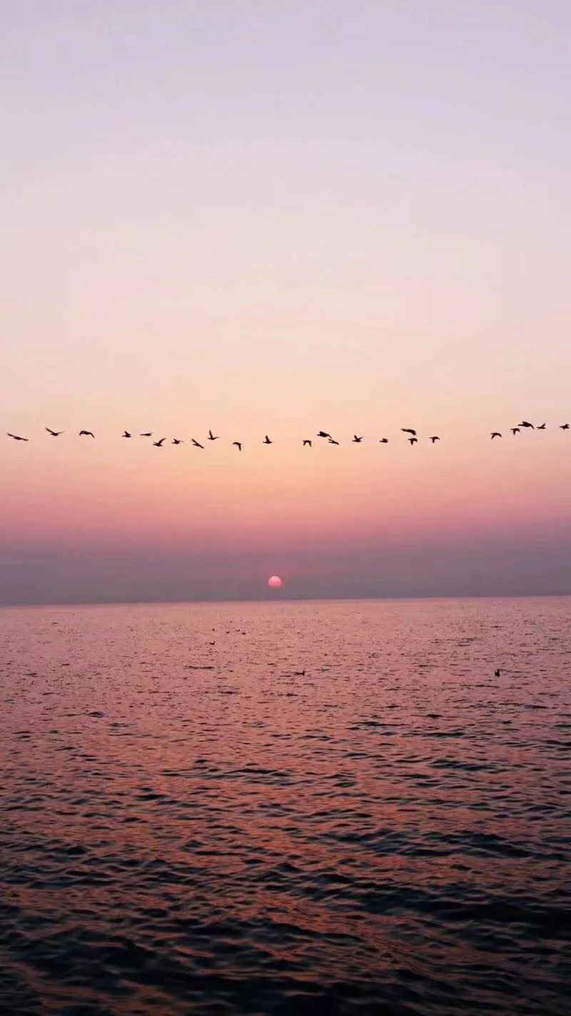 疫情被隔离，因为2包方便面，我不知道要不要和老公离婚……休闲区蓝鸢梦想 - Www.slyday.coM