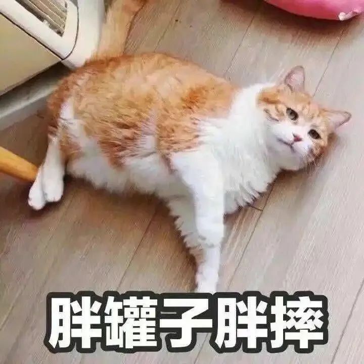 天津相声广播现世报吃胖了顾客消瘦了自己