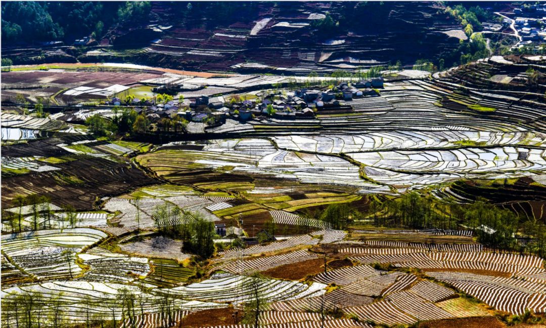 越西普雄春天里的五彩梯田孕育着秋的希望