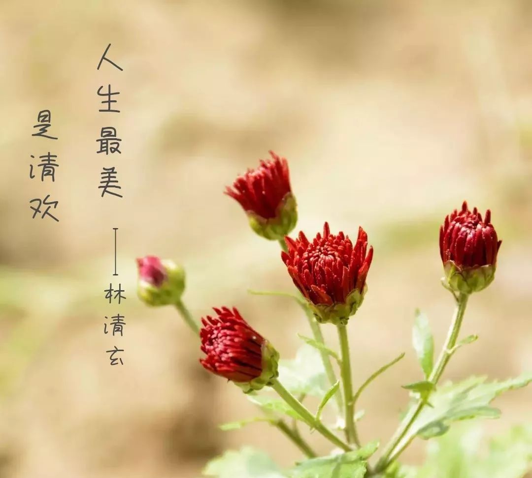 发朋友圈触动心灵的人生哲理唯美语录 经典入心|人生|点儿|雅意_新浪