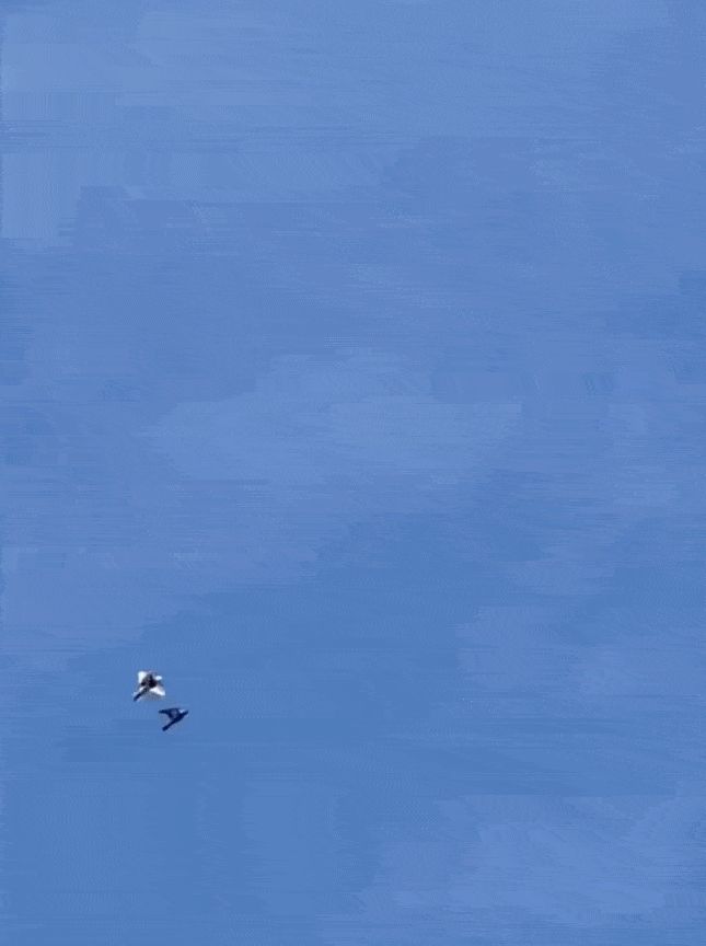 “对不起，我认错爹了…”哈哈哈哈求求你快闭嘴吧！休闲区蓝鸢梦想 - Www.slyday.coM