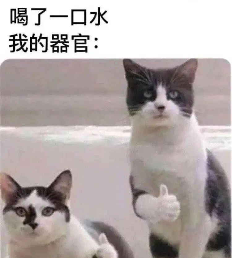 “对不起，我认错爹了…”哈哈哈哈求求你快闭嘴吧！休闲区蓝鸢梦想 - Www.slyday.coM