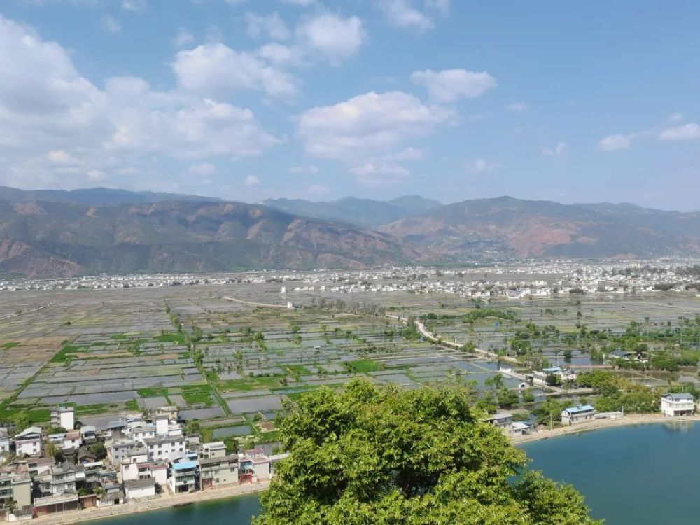 永胜县三川镇:万亩泽田排藕忙|永胜县_新浪新闻