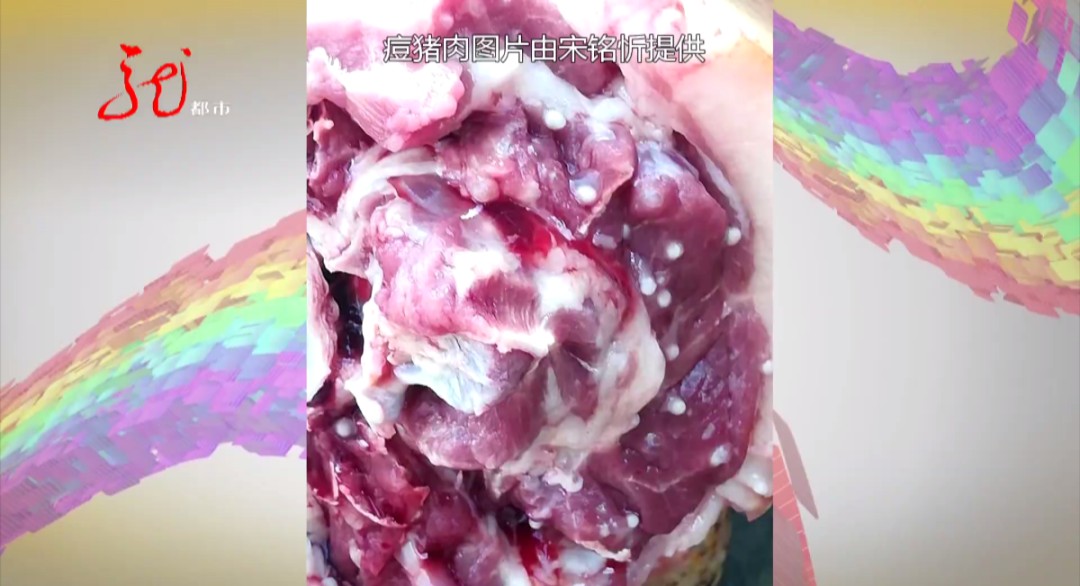 宋铭忻教授表示,我们常说的痘猪肉,是猪身上感染了一种叫"猪肉绦虫"的