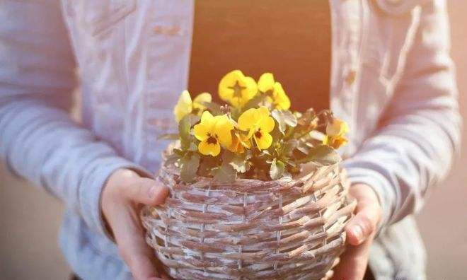 原来,老实人被“欺负”,逐渐麻木,是人间最不幸的悲剧休闲区蓝鸢梦想 - Www.slyday.coM 原来,老实人被“欺负”,逐渐麻木,是人间最不幸的悲剧休闲区蓝鸢梦想 - Www.slyday.coM