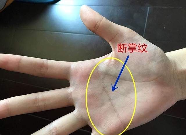 俗话:"断掌一条线,富贵不相欠",何意?你身边有断掌纹的人吗__财经头条