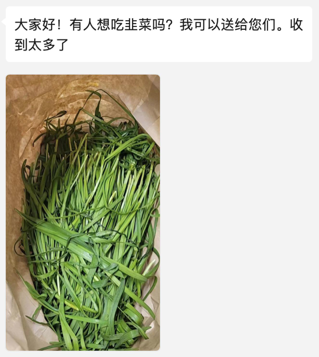 jessica收到了一大包韭菜. jessica 图