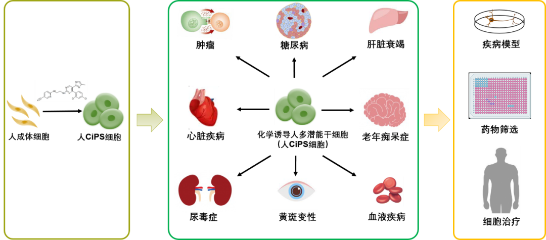三角函数诱导公式 有哪些tan的诱导公式