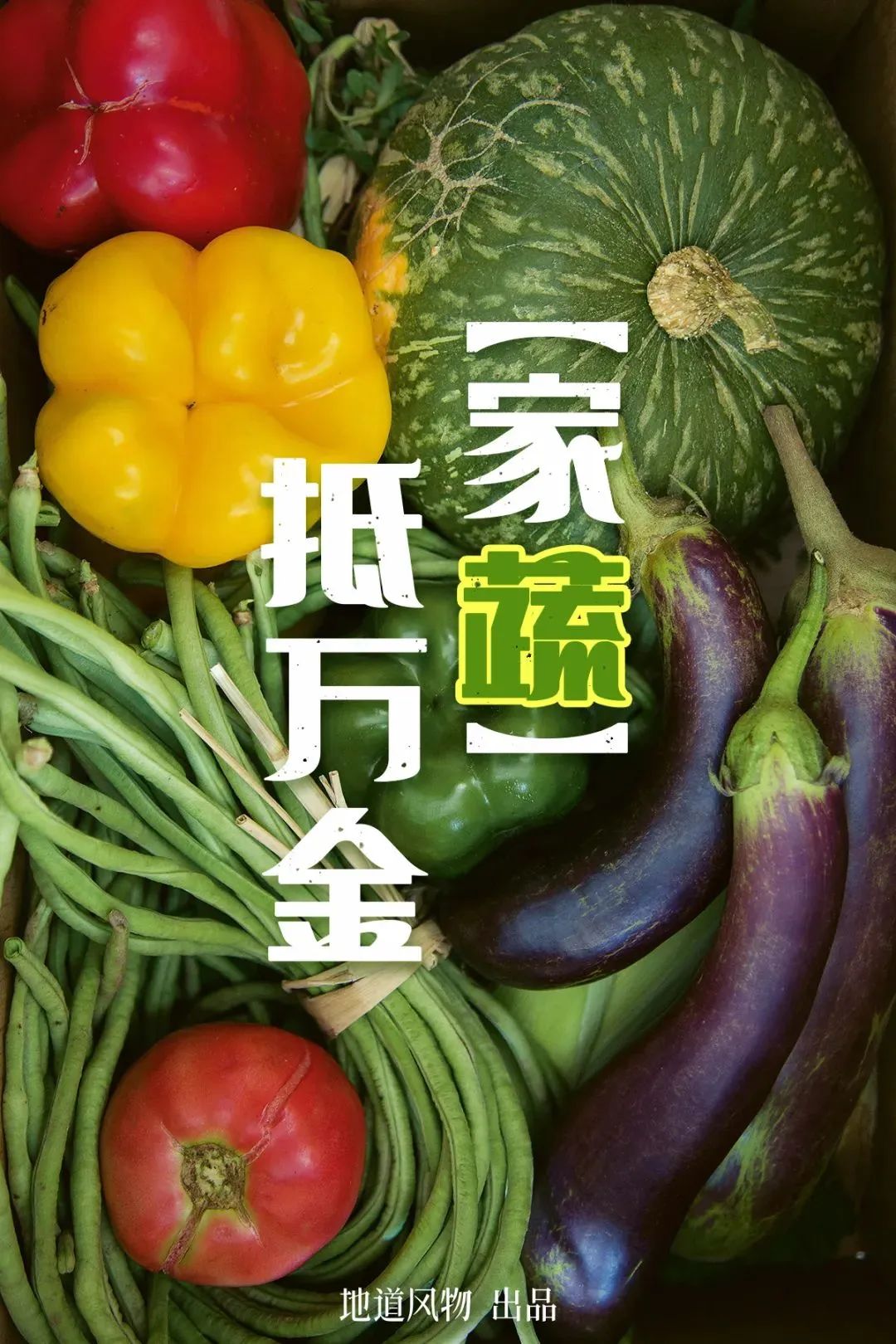 “周末时光｜助力你的“囤菜大业”，中国蔬菜大省们到底有多猛？