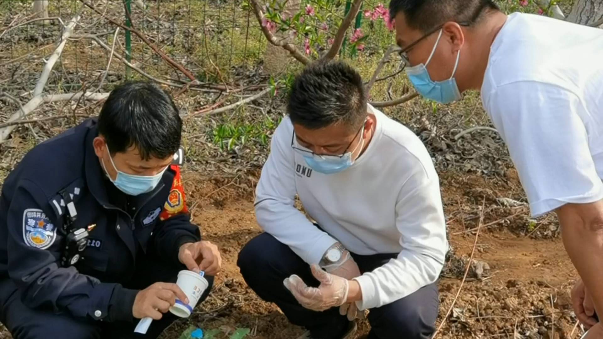自家桃园内种植罂粟150株 济南长清一男子被行拘10日休闲区蓝鸢梦想 - Www.slyday.coM