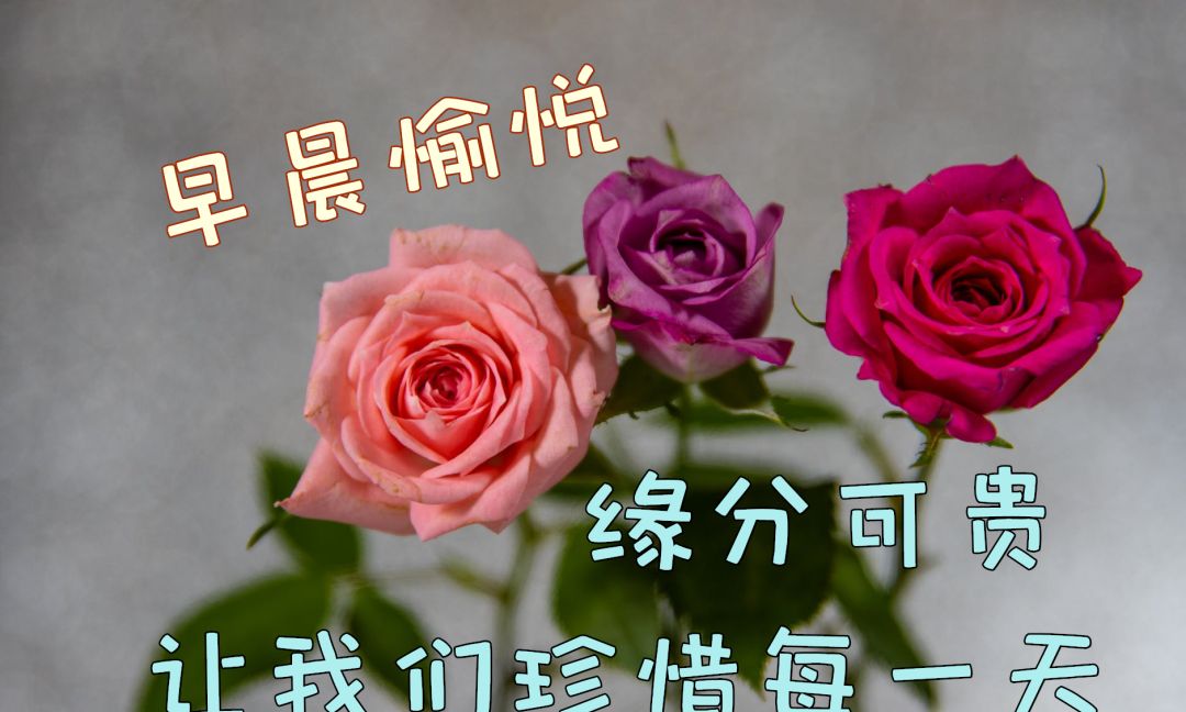 清晨问候朋友的早安祝福语清晨问候祝福语图片带字