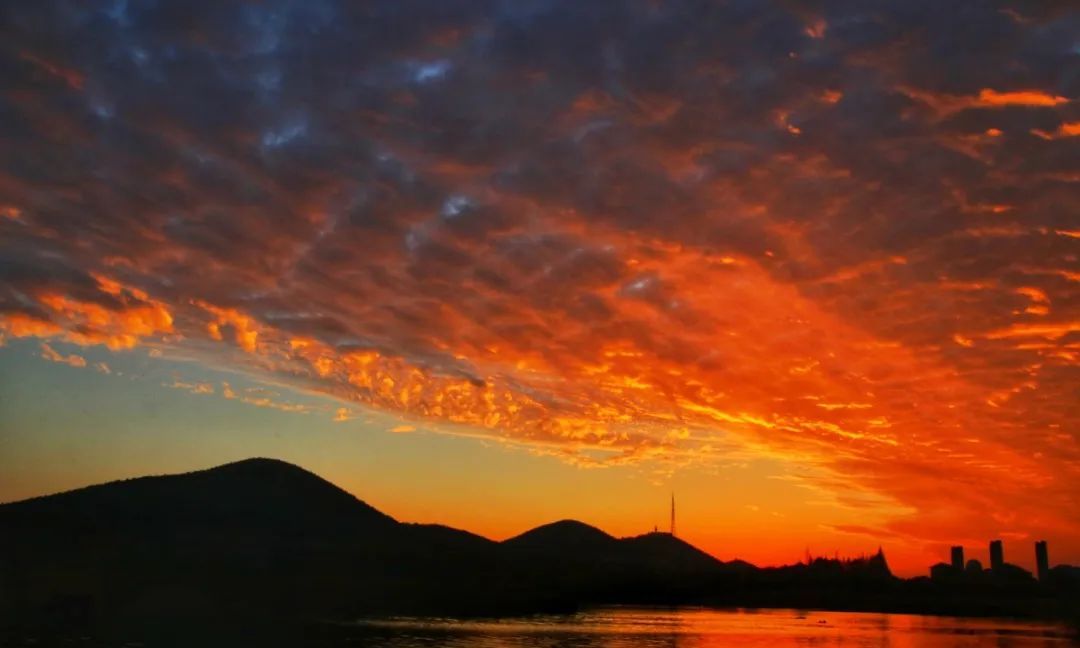 品味琥珀色的美