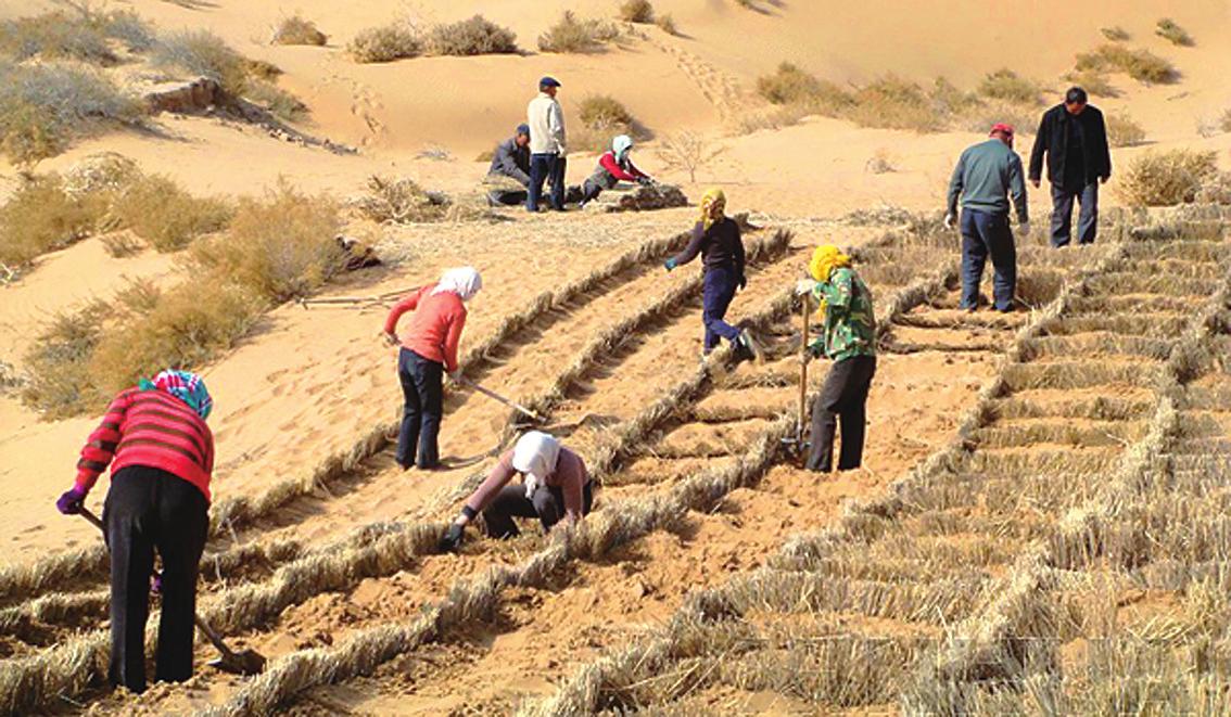 我国的荒漠化治理在过去治理沙漠的工作中取得突破,全国各地都得到了