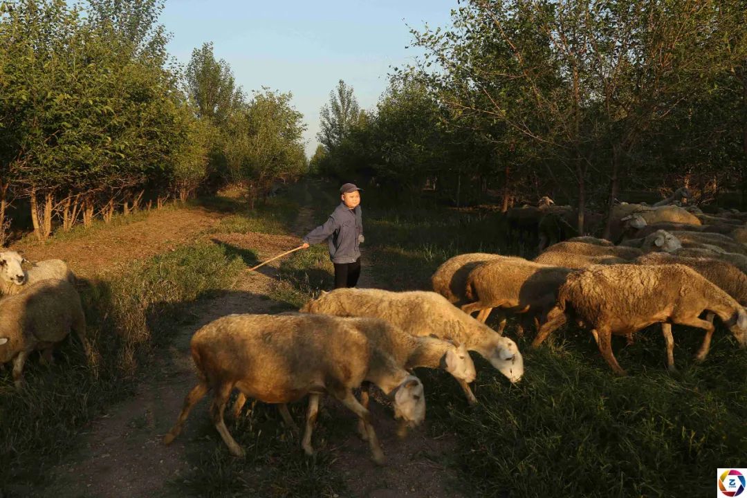 女子怀孕期间丈夫出轨初恋,离婚几年后女儿患病,男友又离开她休闲区蓝鸢梦想 - Www.slyday.coM 女子怀孕期间丈夫出轨初恋,离婚几年后女儿患病,男友又离开她休闲区蓝鸢梦想 - Www.slyday.coM