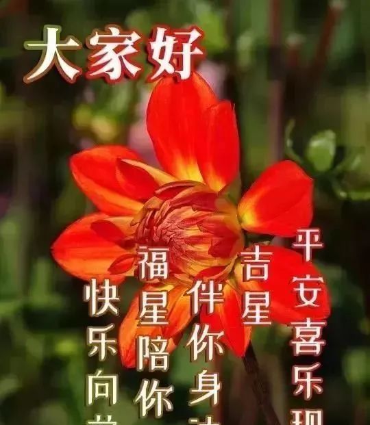 清晨问候朋友的早安祝福语清晨问候祝福语图片带字