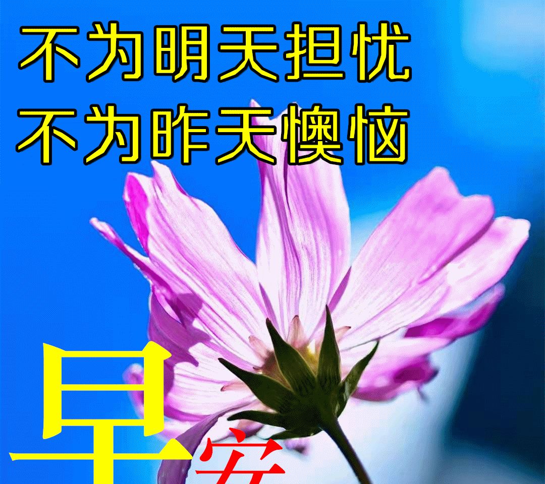 清晨问候朋友的早安祝福语清晨问候祝福语图片带字