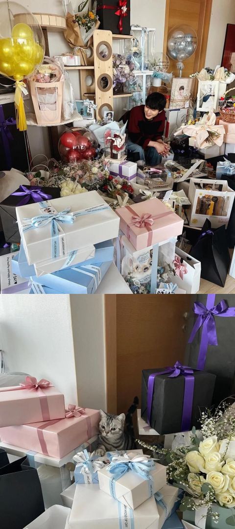 安孝燮晒生日照坐在礼物堆感谢粉丝给予我太多的爱爱猫超抢镜