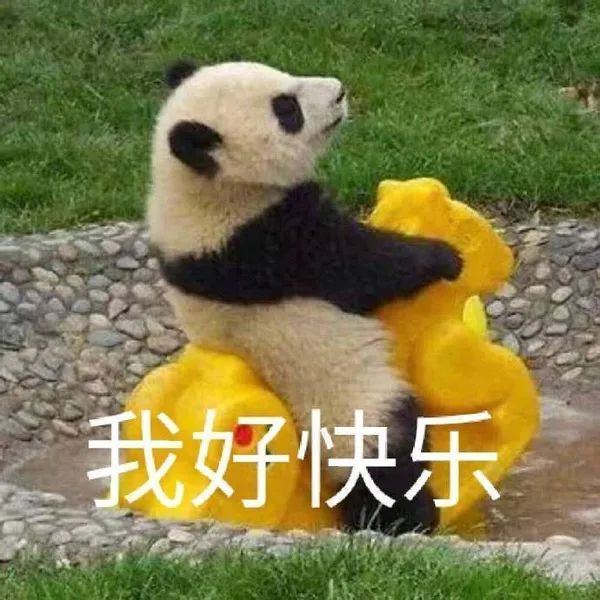 给大家分享看了就会开心的表情包__财经头条