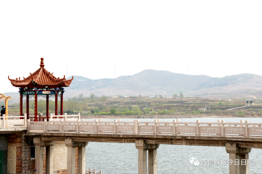 当四月的暖风吹过峤山水库,水面微波涌动,氤氲的水汽催着岸边杨柳吐出
