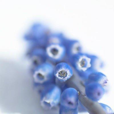 苦尽甘来，上半年的不顺利走了，等待你的将是成功休闲区蓝鸢梦想 - Www.slyday.coM