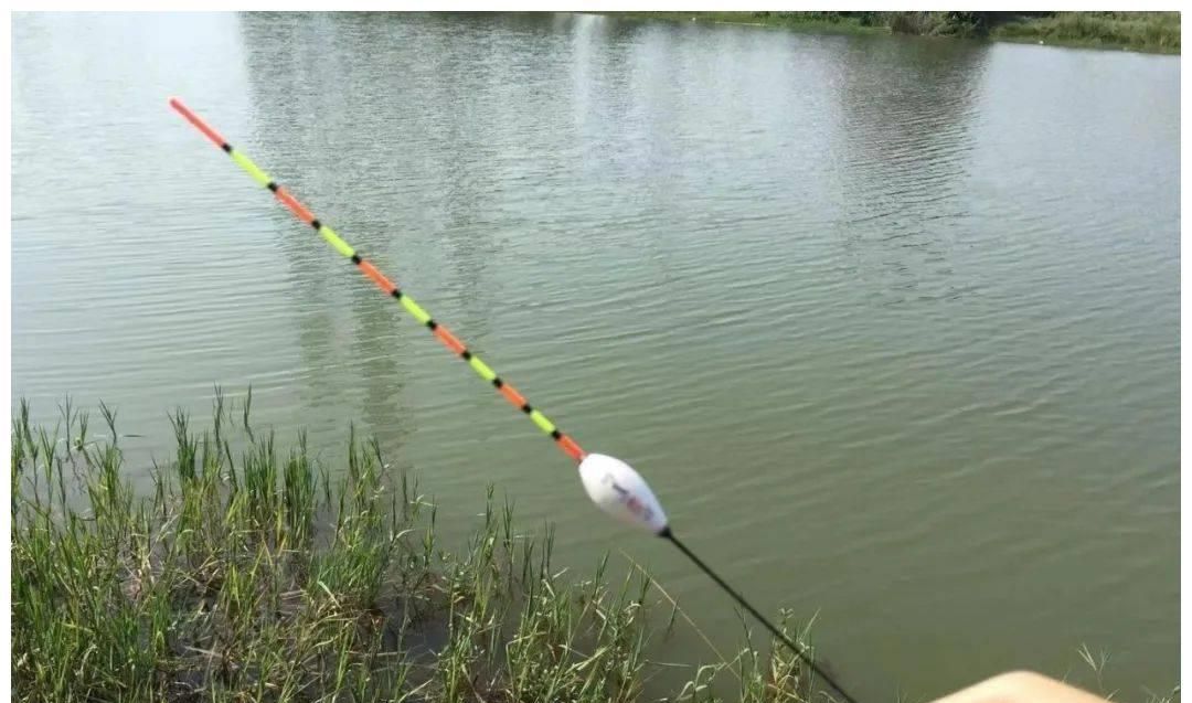 浮漂总是一动不动，到底是没有鱼进窝，还是别的什么原因休闲区蓝鸢梦想 - Www.slyday.coM