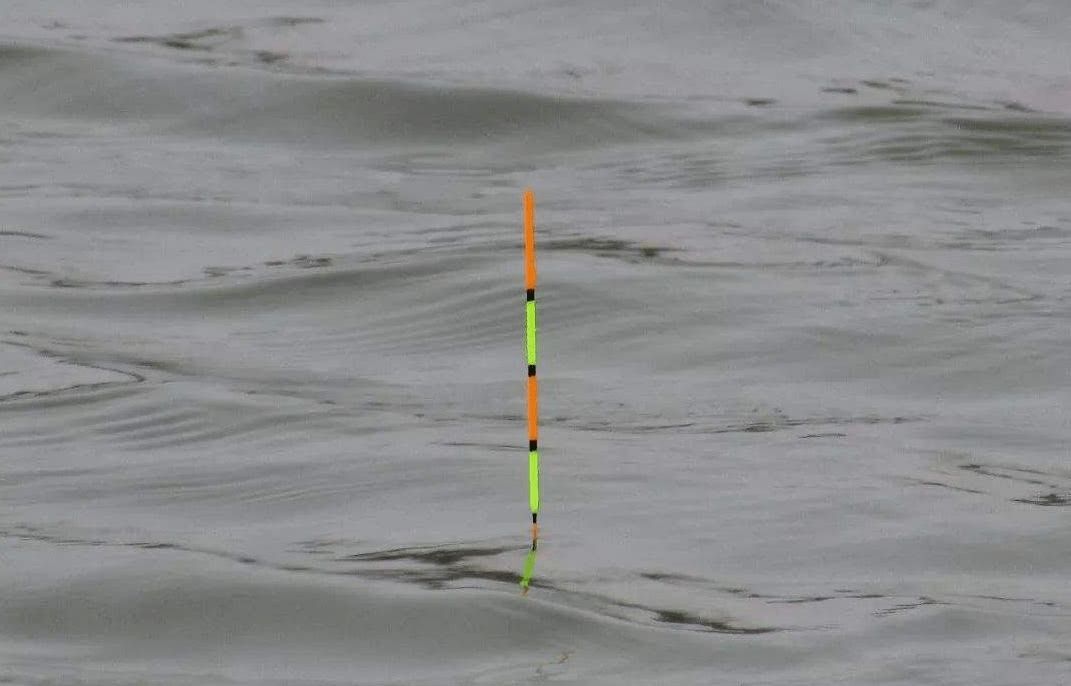 浮漂总是一动不动，到底是没有鱼进窝，还是别的什么原因休闲区蓝鸢梦想 - Www.slyday.coM