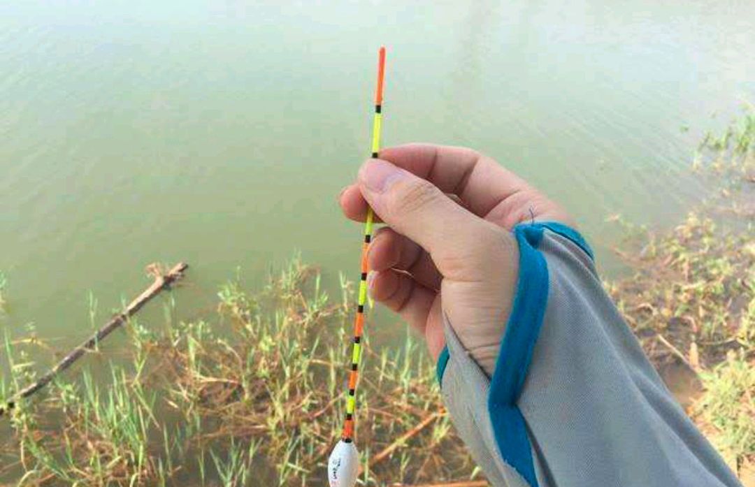 浮漂总是一动不动，到底是没有鱼进窝，还是别的什么原因休闲区蓝鸢梦想 - Www.slyday.coM