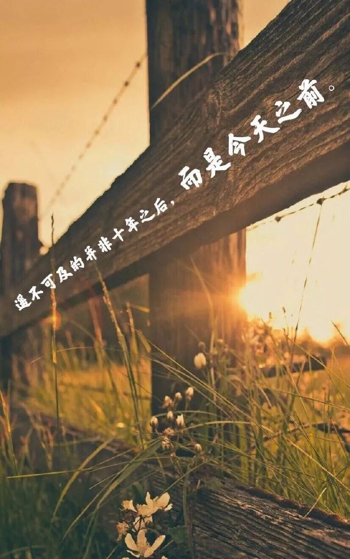 朋友圈正能量满满的励志经典语句非常走心的感悟人生心灵鸡汤