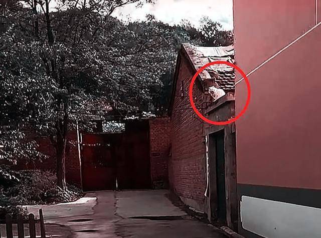 男子寻求好心人收养流浪猫,却遭到众人责骂,到底是谁错?休闲区蓝鸢梦想 - Www.slyday.coM 男子寻求好心人收养流浪猫,却遭到众人责骂,到底是谁错?休闲区蓝鸢梦想 - Www.slyday.coM