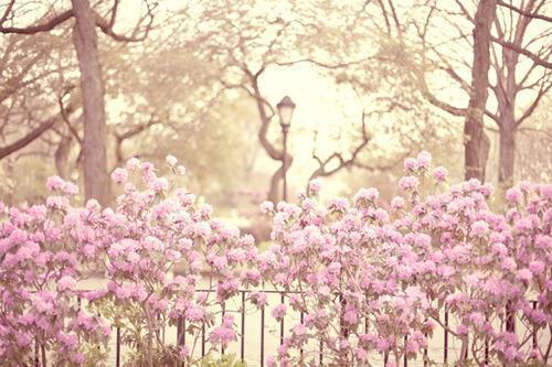 苦尽甘来，上半年的不顺利走了，等待你的将是成功休闲区蓝鸢梦想 - Www.slyday.coM