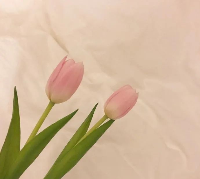 朋友圈甜到炸的情侣官宣语录休闲区蓝鸢梦想 - Www.slyday.coM 朋友圈甜到炸的情侣官宣语录休闲区蓝鸢梦想 - Www.slyday.coM