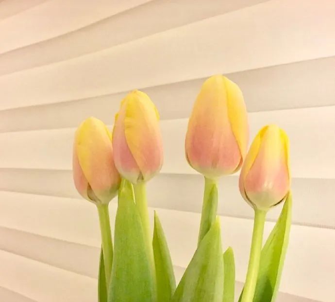 朋友圈甜到炸的情侣官宣语录休闲区蓝鸢梦想 - Www.slyday.coM 朋友圈甜到炸的情侣官宣语录休闲区蓝鸢梦想 - Www.slyday.coM