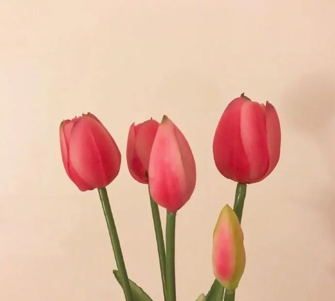 朋友圈甜到炸的情侣官宣语录休闲区蓝鸢梦想 - Www.slyday.coM 朋友圈甜到炸的情侣官宣语录休闲区蓝鸢梦想 - Www.slyday.coM