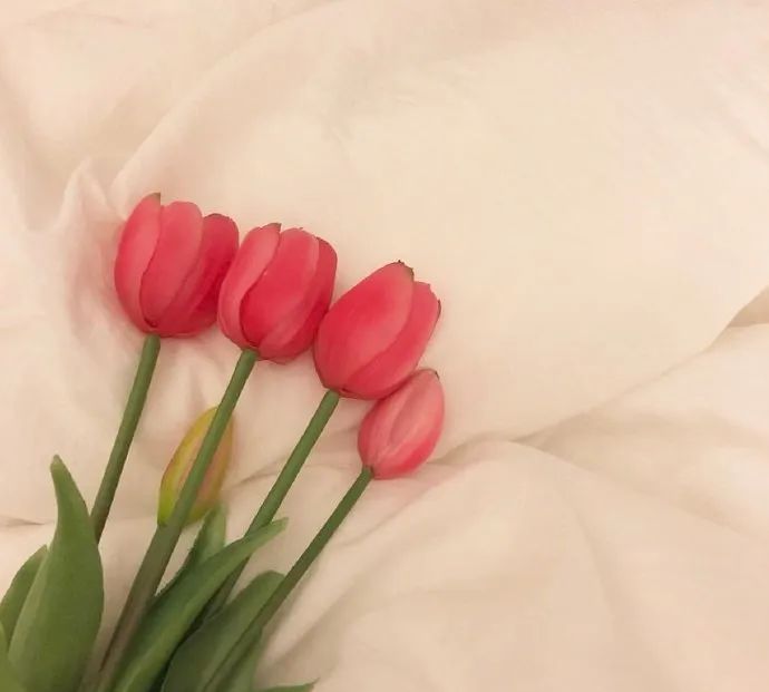 朋友圈甜到炸的情侣官宣语录休闲区蓝鸢梦想 - Www.slyday.coM 朋友圈甜到炸的情侣官宣语录休闲区蓝鸢梦想 - Www.slyday.coM