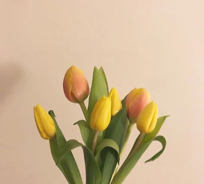 朋友圈甜到炸的情侣官宣语录休闲区蓝鸢梦想 - Www.slyday.coM 朋友圈甜到炸的情侣官宣语录休闲区蓝鸢梦想 - Www.slyday.coM