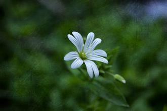 苦尽甘来，上半年的不顺利走了，等待你的将是成功休闲区蓝鸢梦想 - Www.slyday.coM