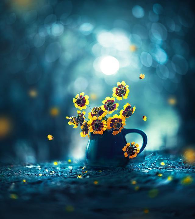 苦尽甘来，上半年的不顺利走了，等待你的将是成功休闲区蓝鸢梦想 - Www.slyday.coM