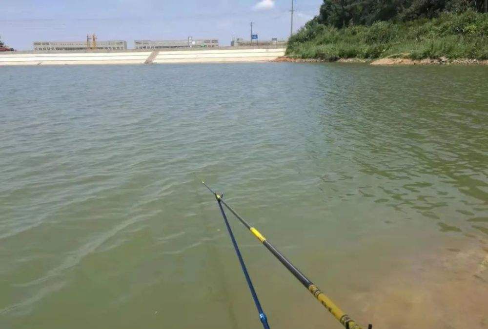 浮漂总是一动不动，到底是没有鱼进窝，还是别的什么原因休闲区蓝鸢梦想 - Www.slyday.coM