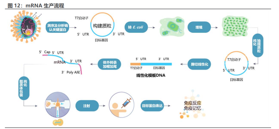 包含安贞医院代挂专家号加代问诊复杂病例深度梳理，诊疗更精准的词条