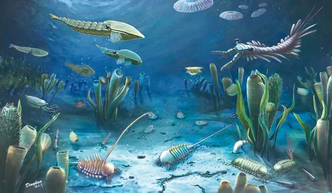 华北发现寒武纪大爆发化石库